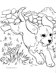 Your kid will surely enjoy coloring this cute image of olive, the turtle. Realistic Puppy Coloring Pages Coloring Home