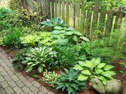 Pin By Marianne Rasmussen On Yard Lanscaping Shade Garden Garden Calendar Hosta Gardens