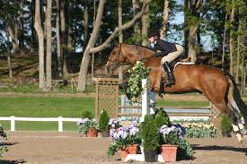 Maybe you would like to learn more about one of these? Quel Equipement Pour La Pratique Du Hunter Conseils Equitation