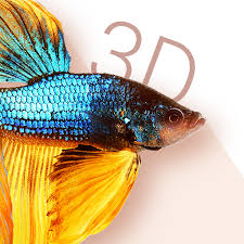 Betta Fish 3d Free 3d Live Wallpaper 2 0 7 Download Android Apk Aptoide