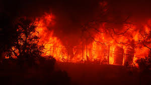 Pacific Palisades wildfire ...