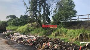 Di mana ada sampah, di situlah ada lalat dan tikus berkeliaran. Mpks Beri Amaran Keras Buang Sampah Secara Haram Merata Tempat Utusan Borneo Online