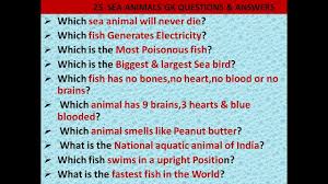 Ask questions and get answers from people sharing their experience with risk. 30 Animals Gk General Knowledge Question Answers With Pictures Animals Quiz Part 1 Youtube