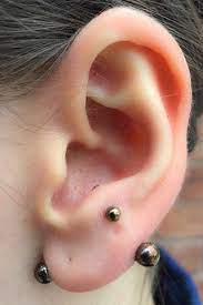 Lobe Transversal 14ga Piercing Body Piercing Lobes