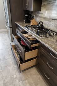 Kitchen Style St Pete Kitchen N9 Jpg Kitchen Kitchen Gallery Kitchen Style