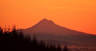 History: Edge Landscape & Maintenance Inc.