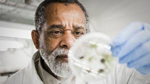 Fungal pathogens are a growing threat says latest WHO report