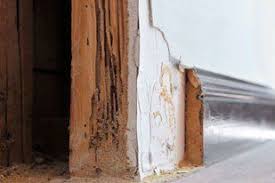 Terminix provides local home pest control services for inspection and extermination. Hickman S Termite Pest Control Mold Treatment Richmond