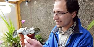 Za jarní květiny vděčíme velké DNA