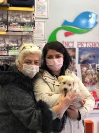 Tekirdag Petshop Inci Petshop Ana Sayfa Facebook