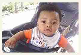 Animal control director can be sued for dog attack death, court rules