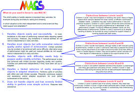 Summary Of The Five Manual Ability Classification System