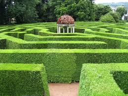 Jubilee Maze Ross On Wye Google Search Healing Garden Design Your Dream House Maze