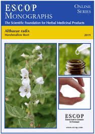 Once strained, we add 150 grams of sugar and boil it. Althaeae Radix Marshmallow Root Escop