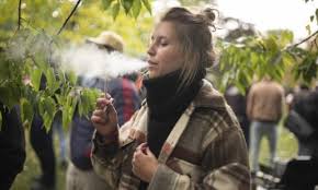 First off there is nothing wrong with adults wishing to what is harmful is smoking weed regularly every day or multiple times per day, or even just every other day. The Legal Stuff Is Garbage Why Canada S Cannabis Black Market Keeps Thriving Cannabis The Guardian