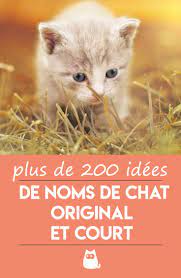 +250 noms populaires, funs, sympas, drôles, poétiques, commençant par la lettre p pour votre chat. De 200 Idees De Noms De Chat Original Et Court Noms De Chat Chat Femelle Prenom Chat Femelle