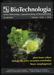 Image result for Selago cecilae