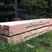 Zwei jahre ist es her, dass die delegation zum ersten mal in degerloch war, um sich das haus des waldes anzuschauen. Haus Des Waldes Degerloch 2 Tips