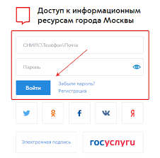 Government organization · government website. Lichnyj Kabinet Pgu Mos Ru Registraciya Vhod Na Portal Mos Ru