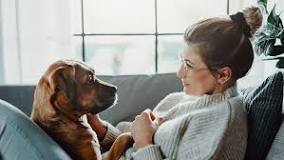 Image result for air treatment system what does it work