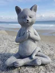 This Sweet Meditating Cat Is The Ultimate Representation Of Peacefulness And Zen Striking A Perfect Yoga Prayer Pose She R Meditating Cat Cat Yoga Cat Garden