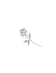 Rose Tattoo Design Rose Tattoo Design Simple Rose Tattoo Small Rose Tattoo
