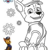 Paw patrol sky zumachase tracker ryder rocky und logo ausmalbilder fuer kinder kostenlos in der dunkelheit der nacht im licht. Paw Patrol Malvorlage Coloring And Malvorlagan