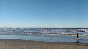 Save springhill suites houston the woodlands to your lists. A Guide To Beaches In The Bay Area And Galveston Community Impact Newspaper