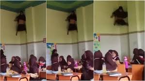 Maybe you would like to learn more about one of these? Viral Siswi Sd Panjat Dinding Kelas Netizen Spider Woman