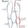 Anime leg drawing amazing drawing skill. 1