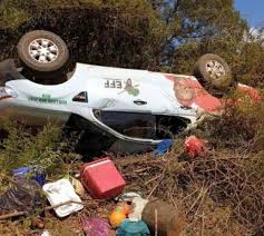 Julius malema is a name that is synonymous with political leadership right from the grassroots. Eff Member Dies In North West Car Crash Farmer Helps Other Passengers News24