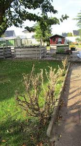 News vom gartenforum.de hier veröffentlichen wir news und mitteilungen rund um das gartenforum.de und dessen lustiges & gartengeschichten kleine gartengedichte, ein kleiner gartenkrimi oder einfach nur lustiges rund um. Buchsbaumzunsler Forum Im Seniorentreff