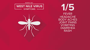 Symptoms and signs of west nile virus include fever, headache, body aches, skin rash, and swollen lymph nodes. 1st Human Case Of West Nile Virus Reported In Colorado This Year 9news Com