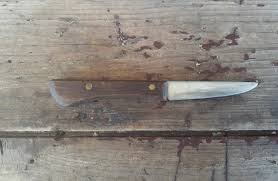 Ekco Eterna Paring Knife Stinless Steel Wooden Handle Danish Modern Kitchen  Mid Century Kitchen