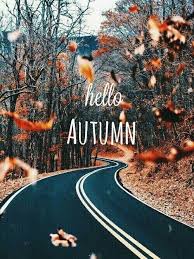 We did not find results for: Nature Wallpaper And Hello Autumn Background Image 6354919 On Favim Com