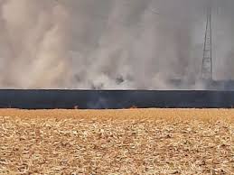 Photo un mégot de cigarette jeté serait à l'origine de l'incendie - Actu.fr