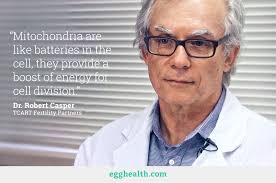 EggHealth