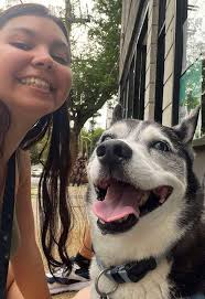 Reliable Petsitter Services in Chestertown Area for Dogs, Cats, and More