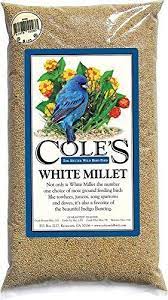 Bird Seed Kit Feeder Cole S Mi20 White Millet 20 Pound Pet Wild Bird Seed Packet Coleswildbirdproducts Bird Seed Wild Birds Seed Kit
