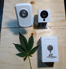So no amount of light leaks is acceptable in flower full stop. Best Grow Tent Webcam Growdoctor Guides