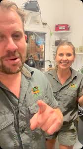 Have you ever seen a Scorpion 🦂 glow under a blue light? Watch this video  to find out how they do it, ., ., ., ., ., ., ., ., ., ., ., ., #venom  #venomous #scorpian #australianreptilepark #australia