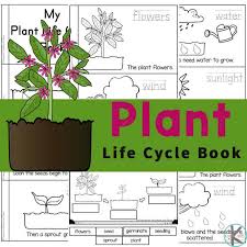 Here, second graders read little snippets of information on each of the major steps that constitute a plant's life cycle. Plant Life Cycles Printable Emergent Reader And Worksheets