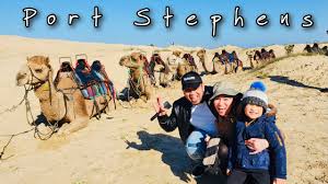 Experience the thrill of the ships of the desert over the vast sand dunes of port stephens. Camel Ride At Port Stephens Australia Youtube