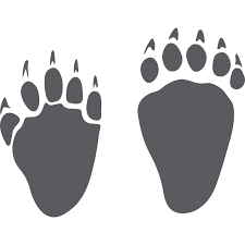 Download Wild Animal Tracks Glyph Icon 7983 Dryicons