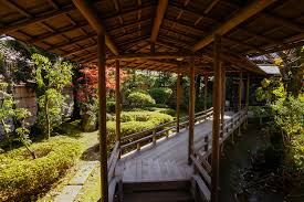 We did not find results for: A Day Trip To Shibamata Tokyo S Retro Japanese Neighbourhood