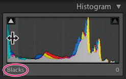 Как с нуля сохранить видео? How To Adjust Image Tone And Color And Work In Grayscale In Lightroom Classic