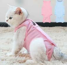 Protects bite wounds, sutures, incisions from contamination while promoting fast healing and reducing risk of infection. Cat Surgery Recovery Onesie Pet Care Health Vancouver British Columbia Facebook Marketplace Facebook