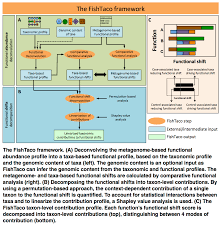 It's such a flavorful recipe! Fishtaco Functional Shifts Taxonomic Contributors Fishtaco Functional Shift Taxonomic Contributors