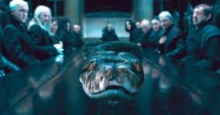 13 Of The Best Animal Sidekicks In Film And Television Animaux Fantastiques Les Animaux Fantastiques Harry Potter