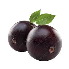 Image result for Flacourtia indica